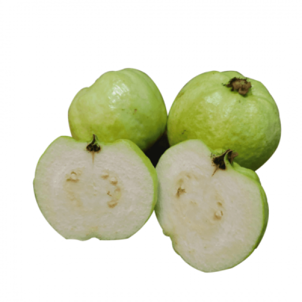 GUAVA SEEDLESS (THA) /KG