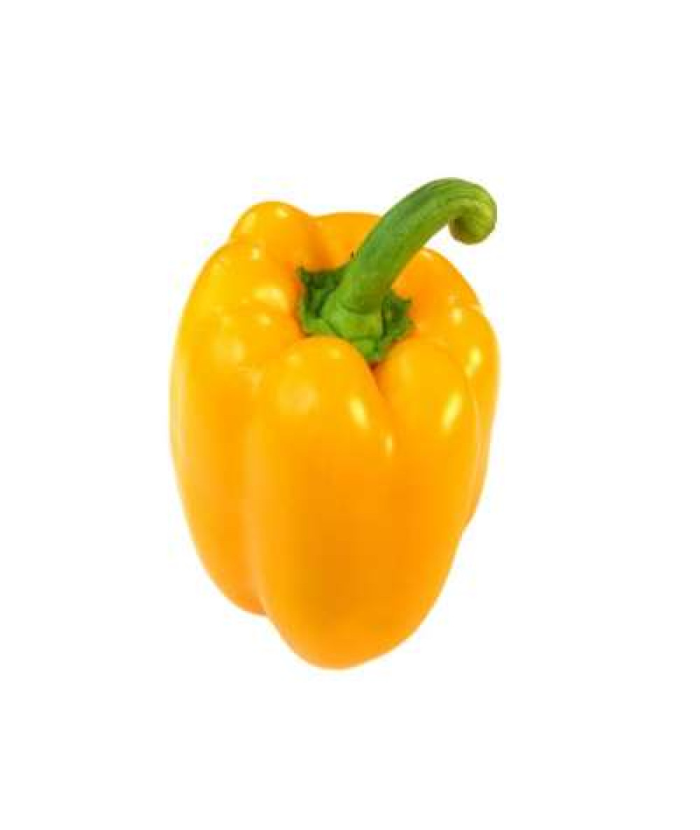 YELLOW CAPSICUM /KG