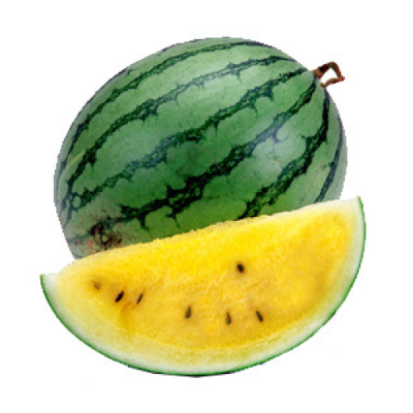 YELLOW WATERMELON /KG