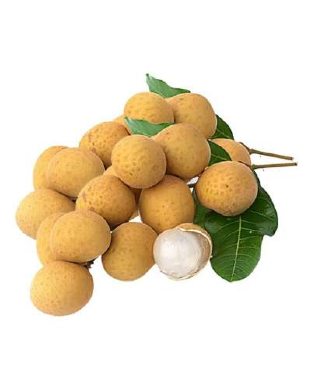 LONGAN (THA) /KG