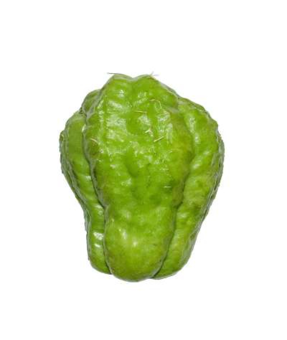 ENGLISH GOURD 'CHAYOTE' /KG