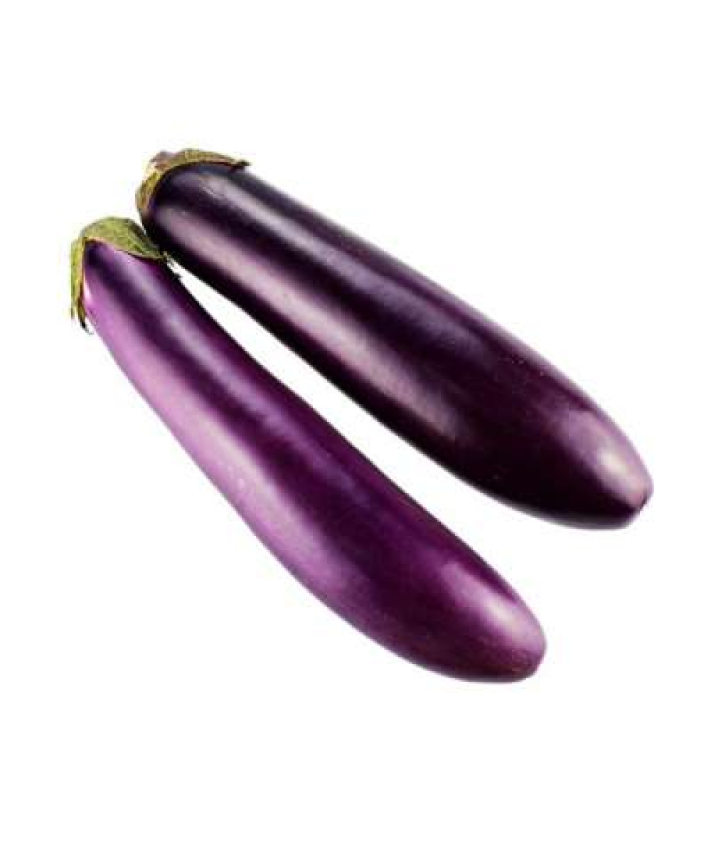 LONG BRINJAL 'TERUNG PANJANG' /KG