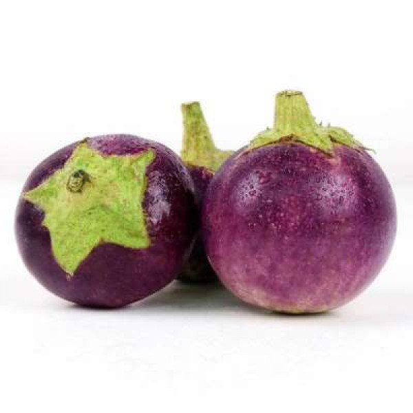 ROUND BRINJAL 'TERUNG BULAT' /KG