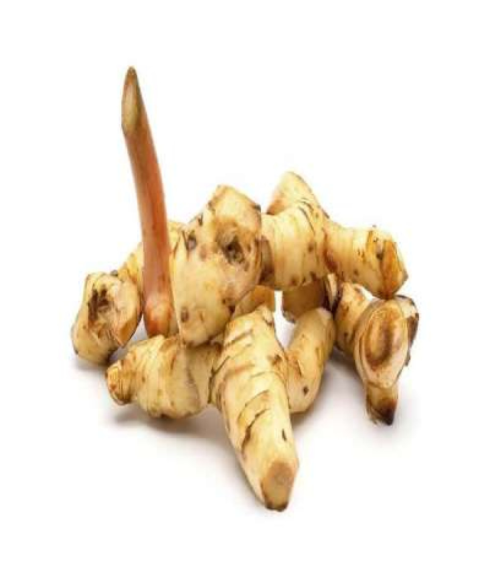 LENGKUAS (GALANGAL) /KG