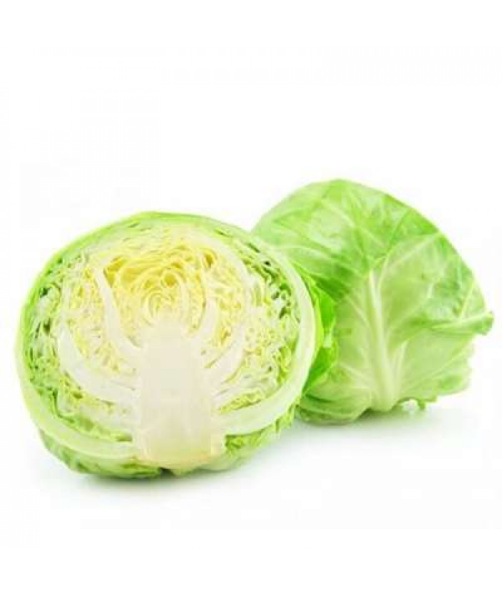 BEIJING CABBAGE (CHN) K10 /KG