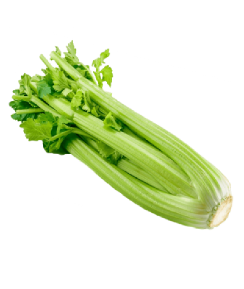 CELERY (CHN) /KG