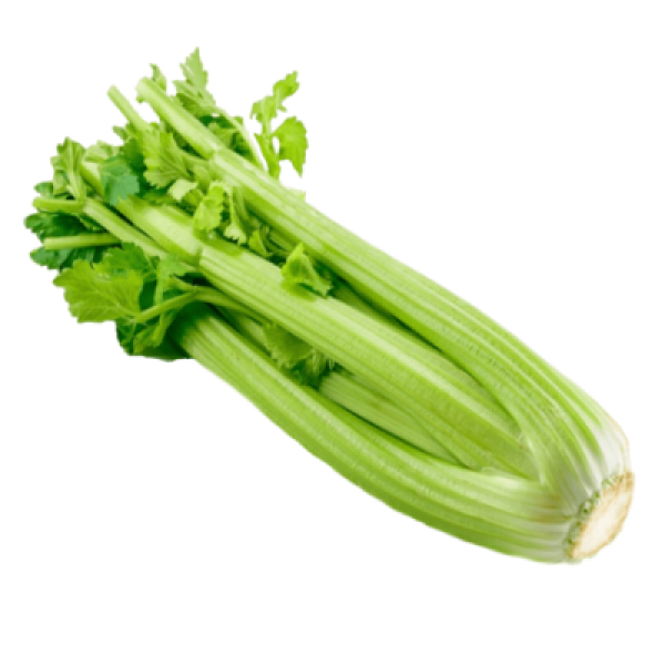 CELERY (CHN) /KG