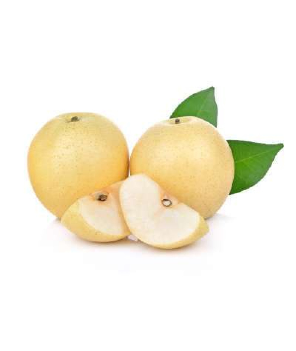 GOLDEN PEAR (CHN) 2PCS