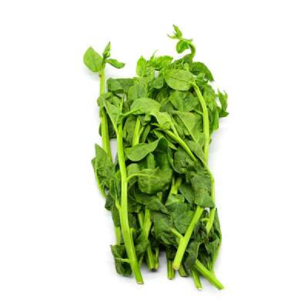 GREEN CHAN CHOY /KG