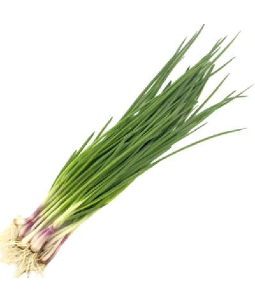 SPRING ONION ' DAUN BAWANG' 100G+/-