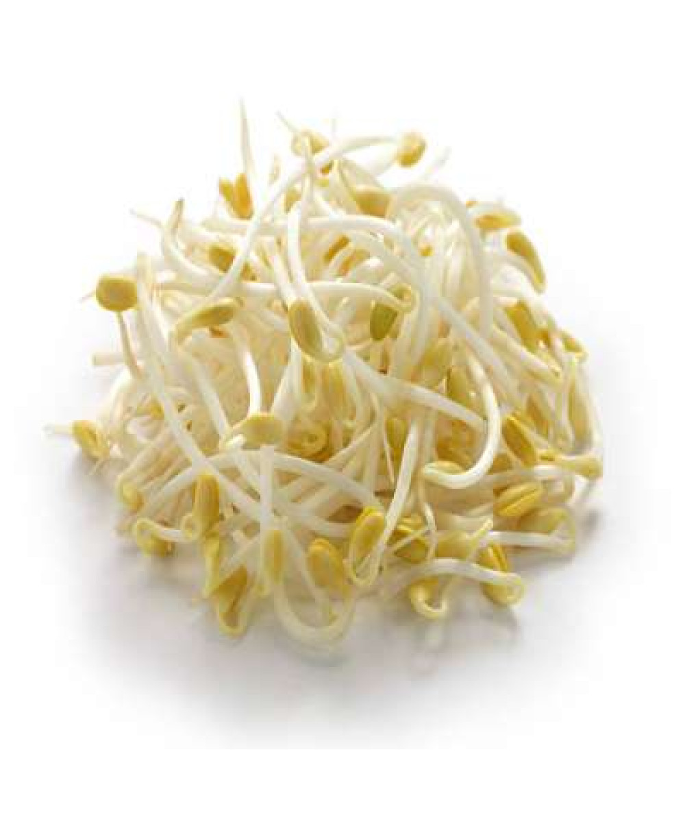 BEAN SPROUT 'TAUGEH' /KG