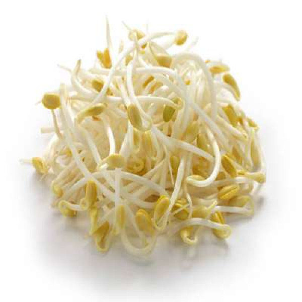 BEAN SPROUT 'TAUGEH' /KG