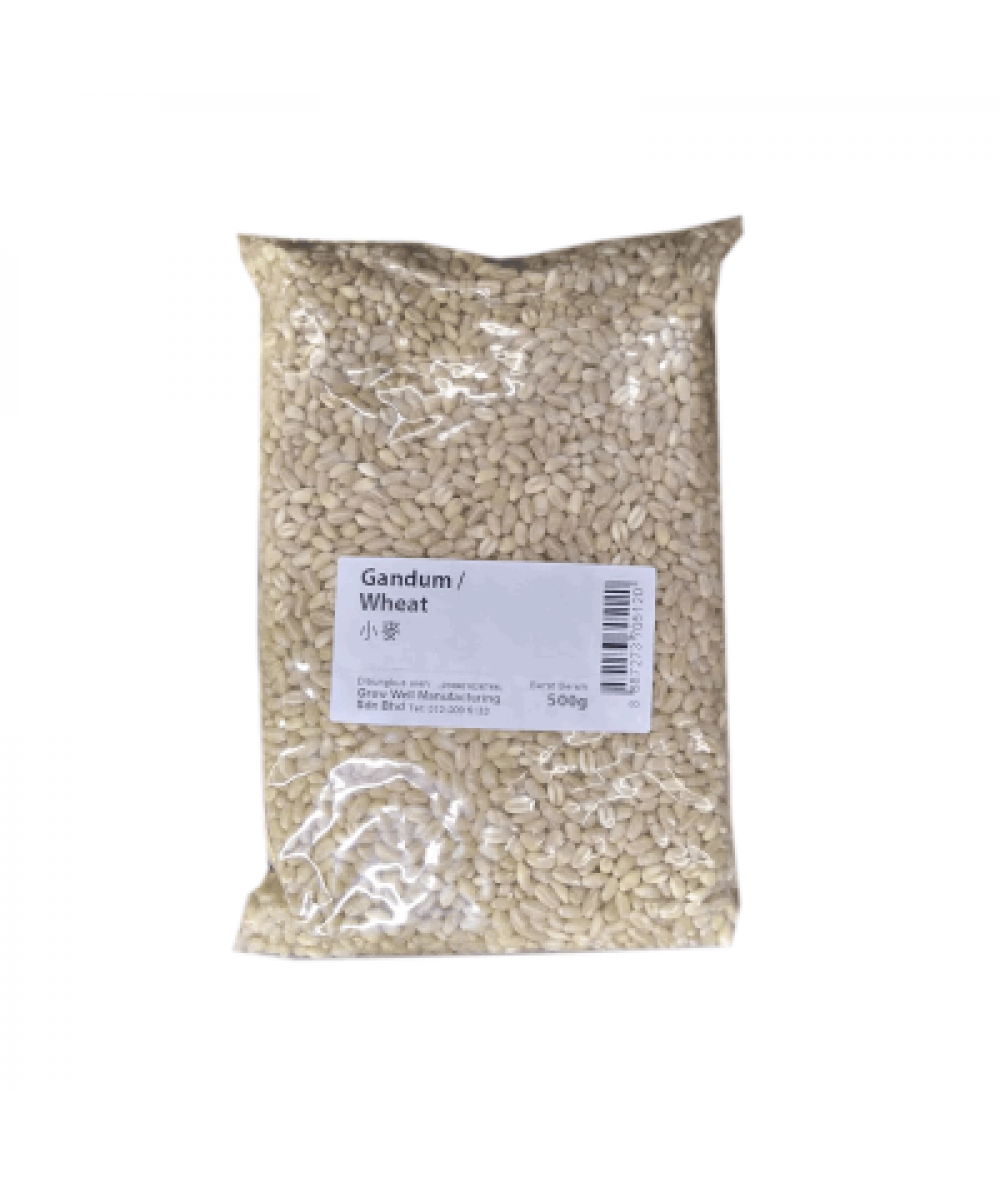 GANDUM / WHEAT 500G