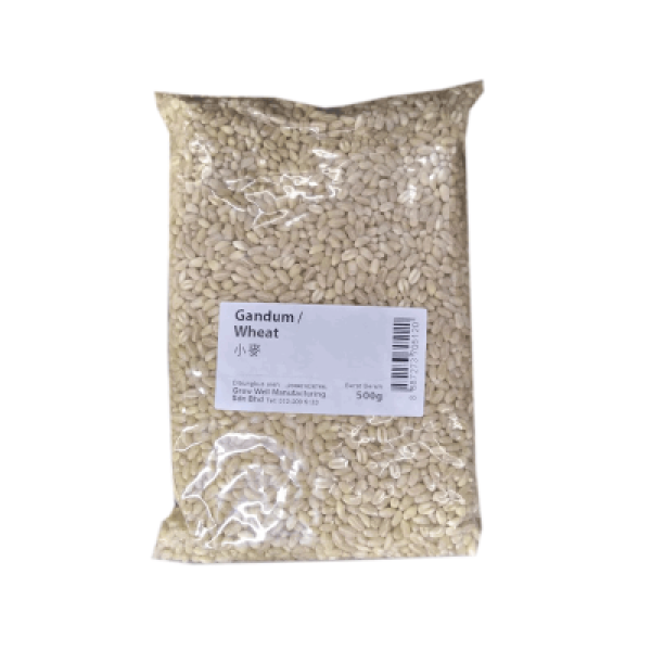 GANDUM / WHEAT 500G