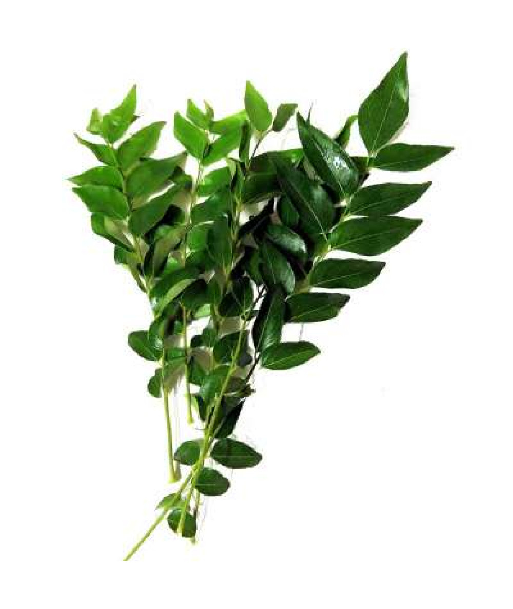 DAUN KARI 50G+/-