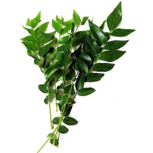 DAUN KARI 50G+/-