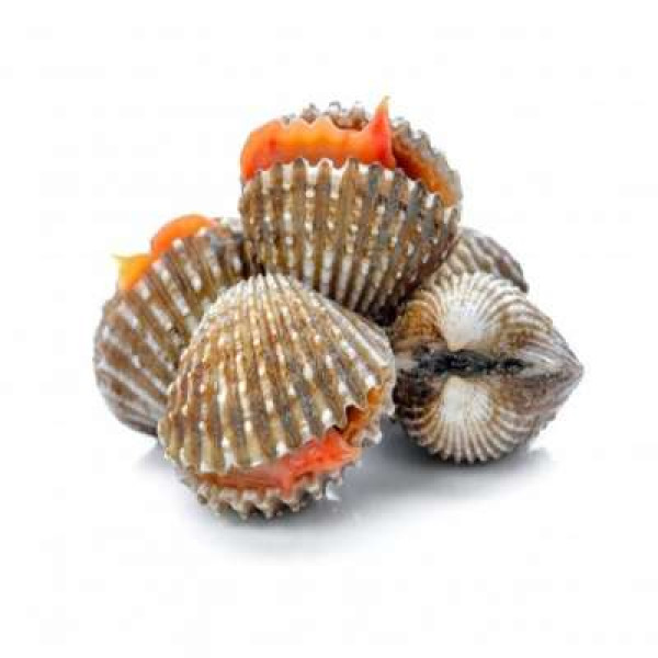 KERANG /KG