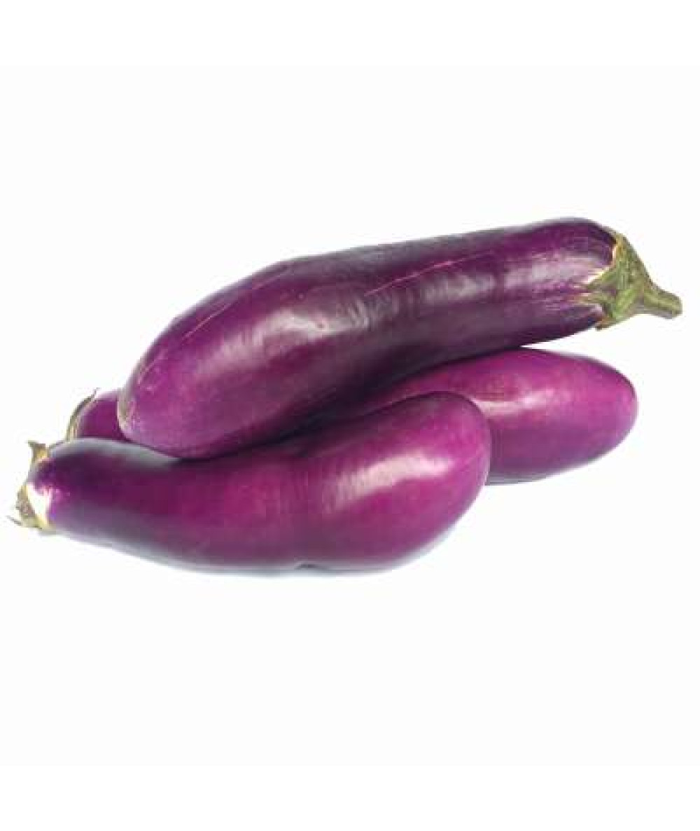 TERUNG PENDEK ' SHORT BRINJAL'  /KG