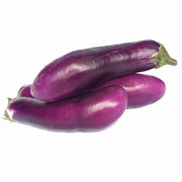 TERUNG PENDEK ' SHORT BRINJAL'  /KG