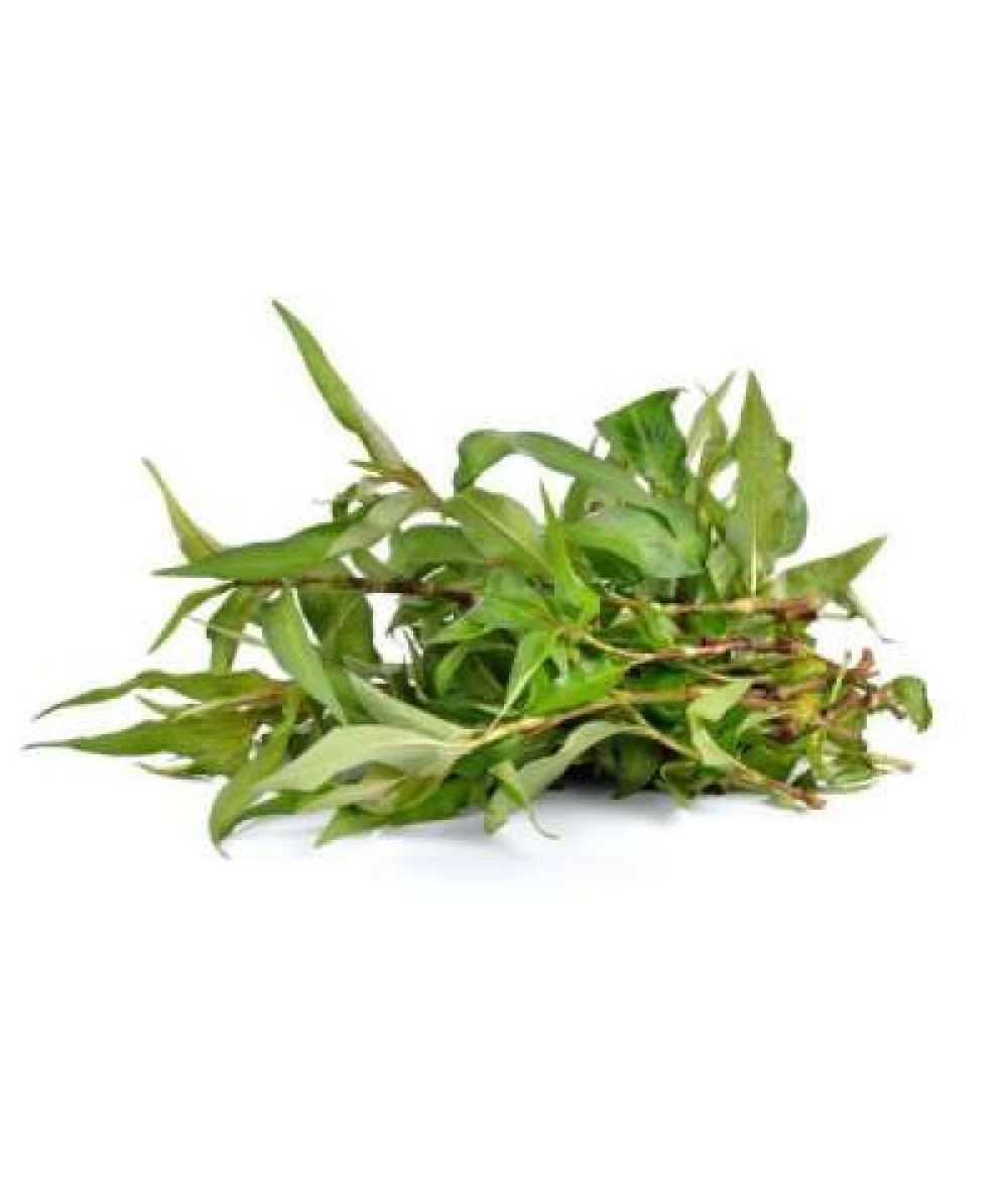 DAUN KESUM 100G+/-