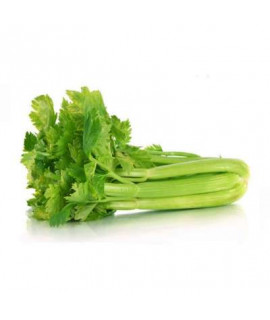 CELERY (AUS) /KG