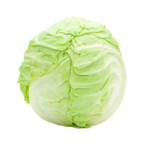 ROUND CABBAGE (CHN) K20 /KG