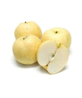 GOLDEN PEAR L (CHN) C36 1PC