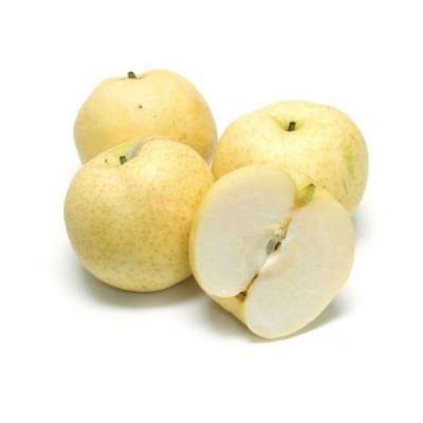 GOLDEN PEAR L (CHN) C36 1PC