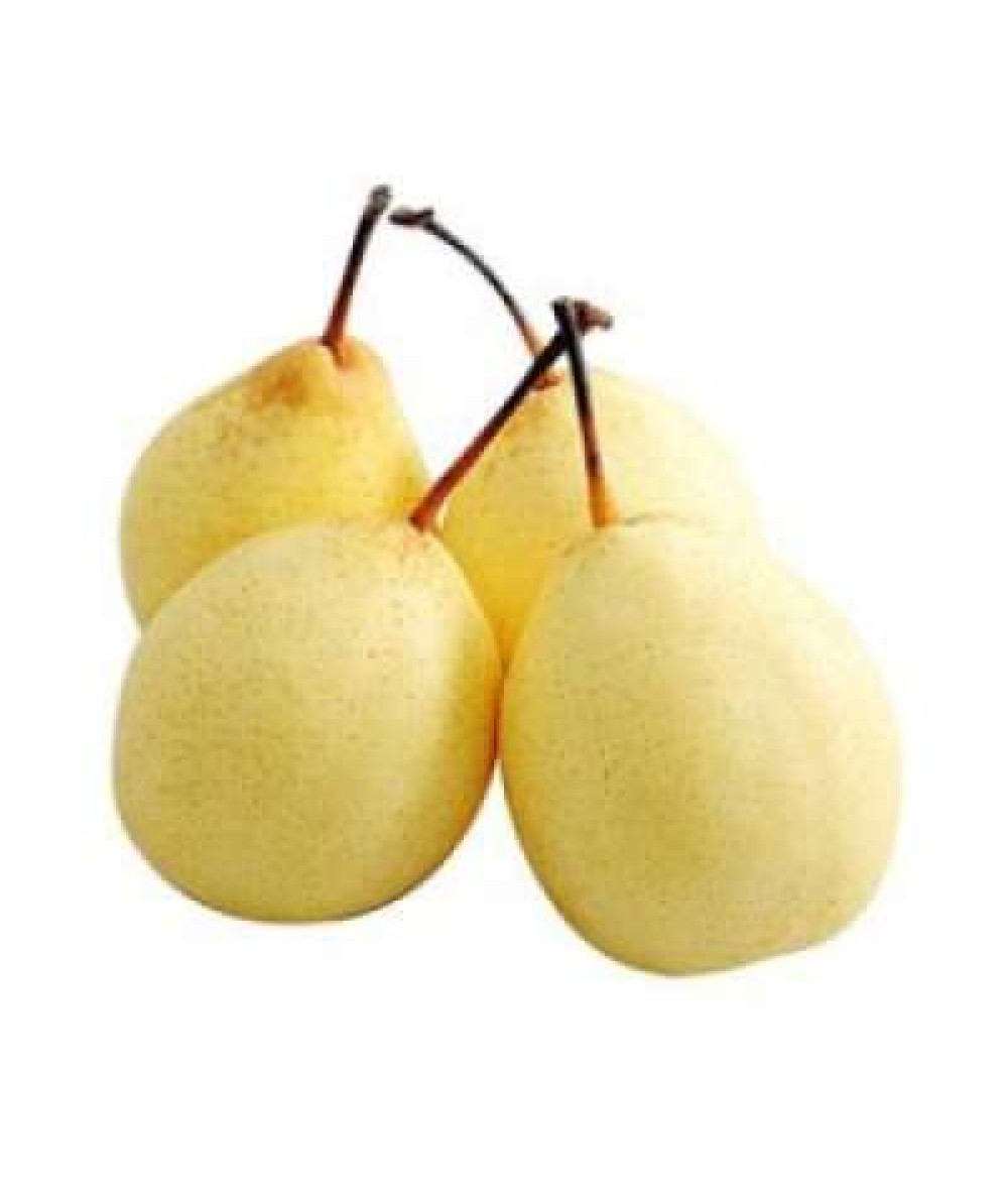 SINCO PEAR L (CHN) C36 1PC