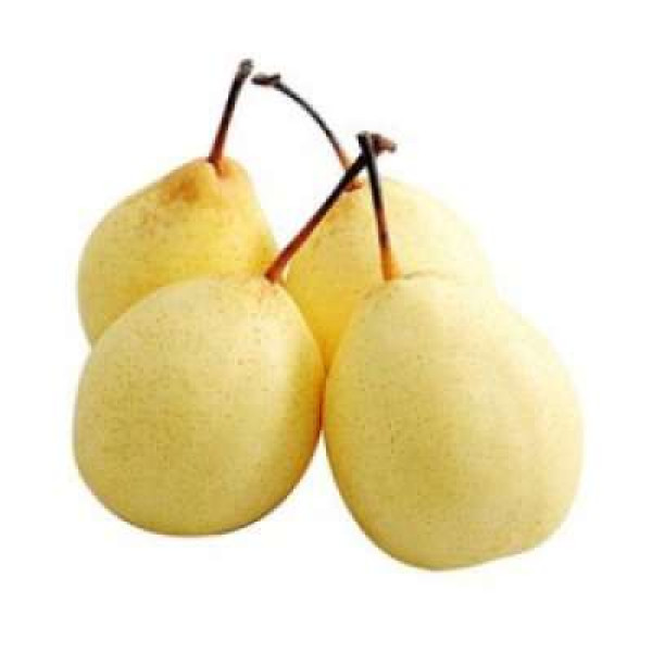 SINCO PEAR L (CHN) C36 1PC