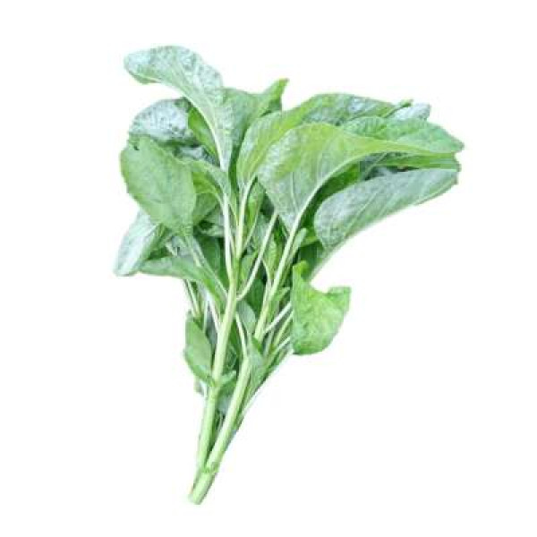 BAYAM HIJAU (BULAT)  'ROUND GREEN SPINACH' 250G+/-