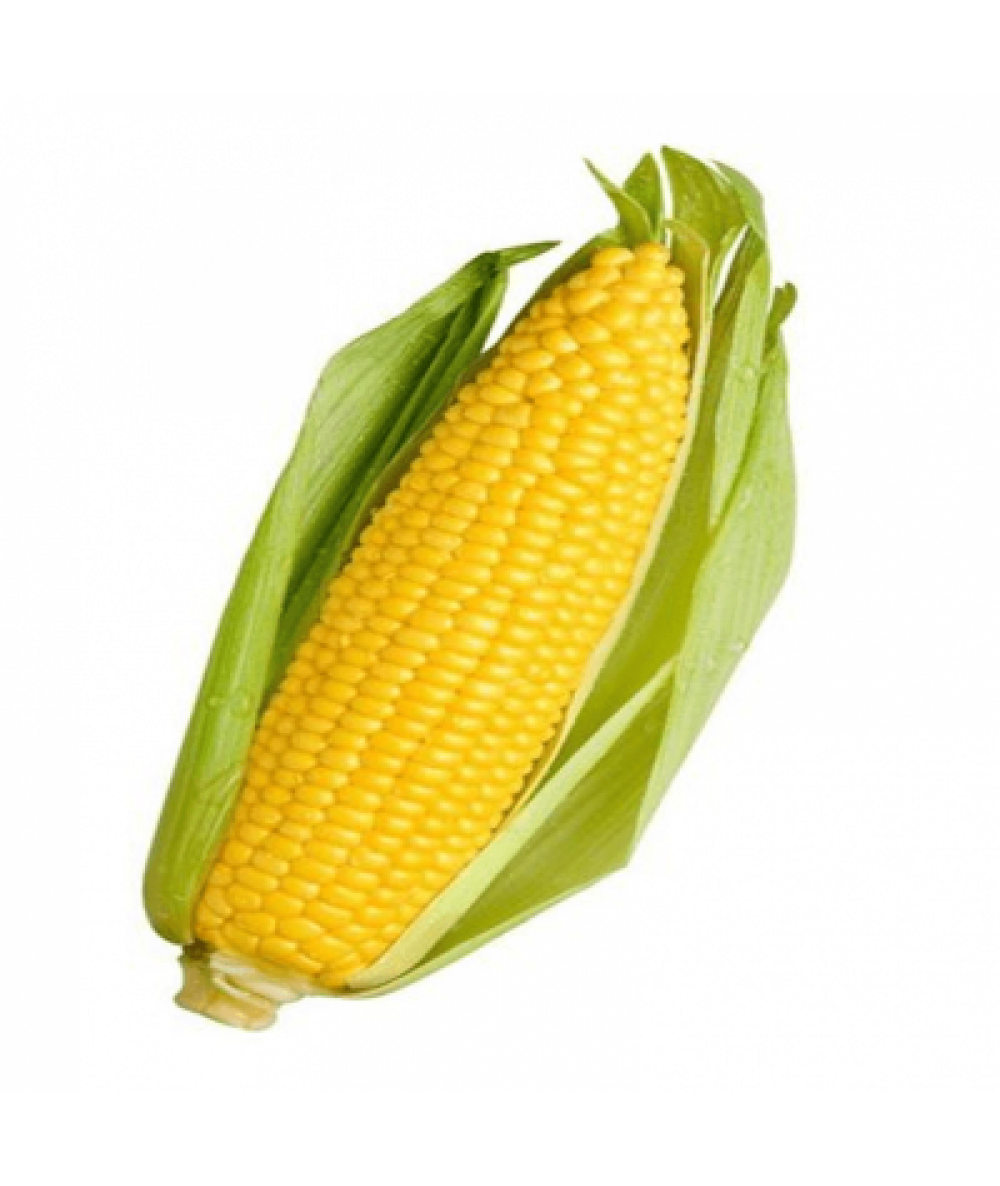 SWEET CORN (LOCAL)