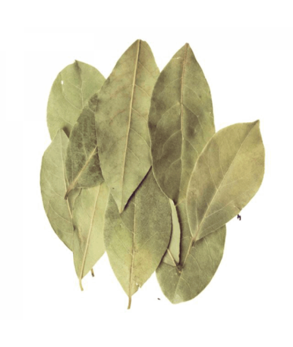 DAUN SALAM / BAY LEAF 3G