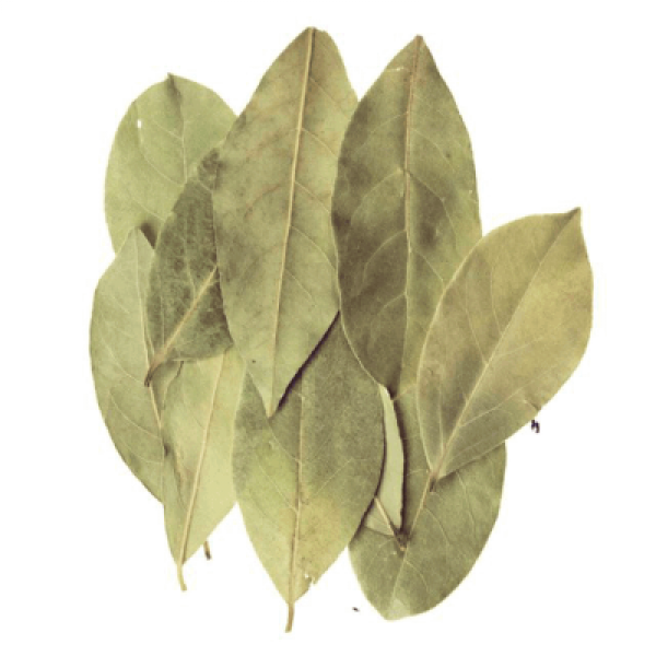 DAUN SALAM / BAY LEAF 3G