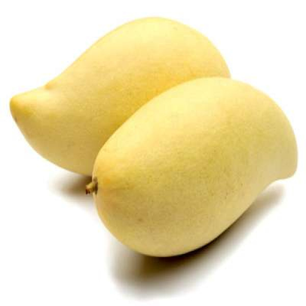 GOLD SUSU MANGO (THA) /KG 