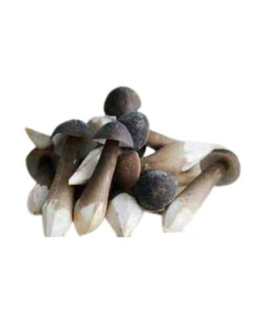 SEVEN STARS ORG ENPIKO 'BLACK' MUSHROOM 200G+/-