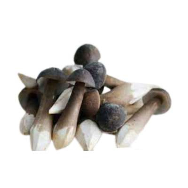 SEVEN STARS ORG ENPIKO 'BLACK' MUSHROOM 200G+/-