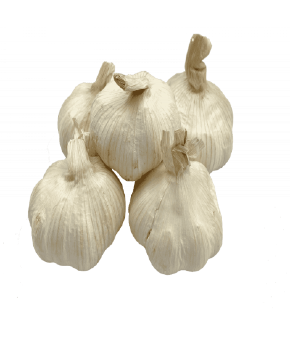 WHITE GARLIC 'BAWANG PUTIH' 500G+/-