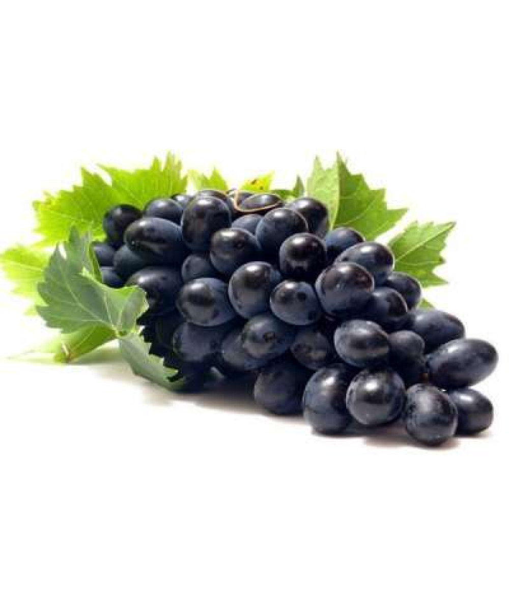 BLACK SEEDLESS GRAPE (EGY) 500G+/-