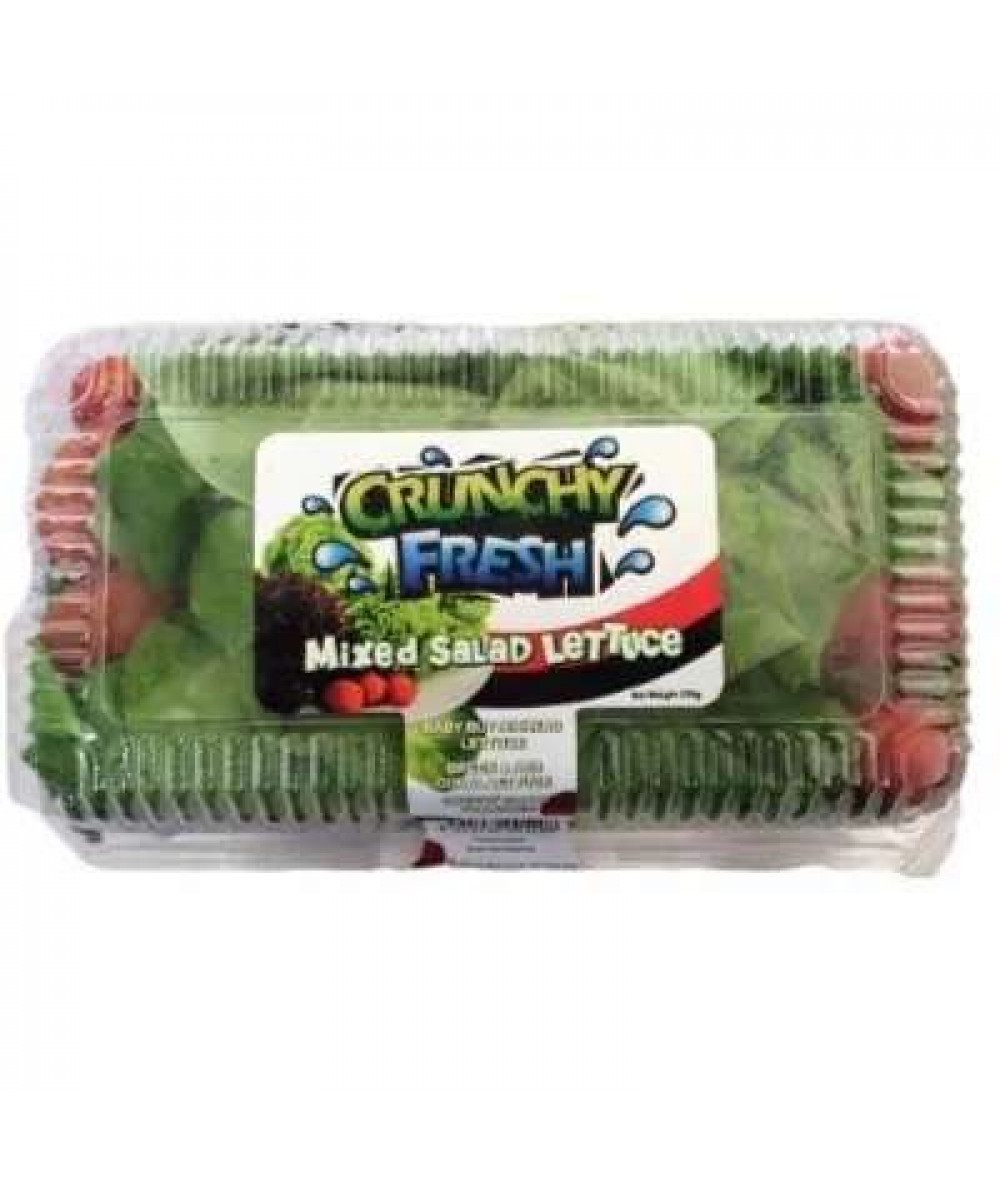 CRUNCHY FRESH MIXED SALAD LETTUCE 230G