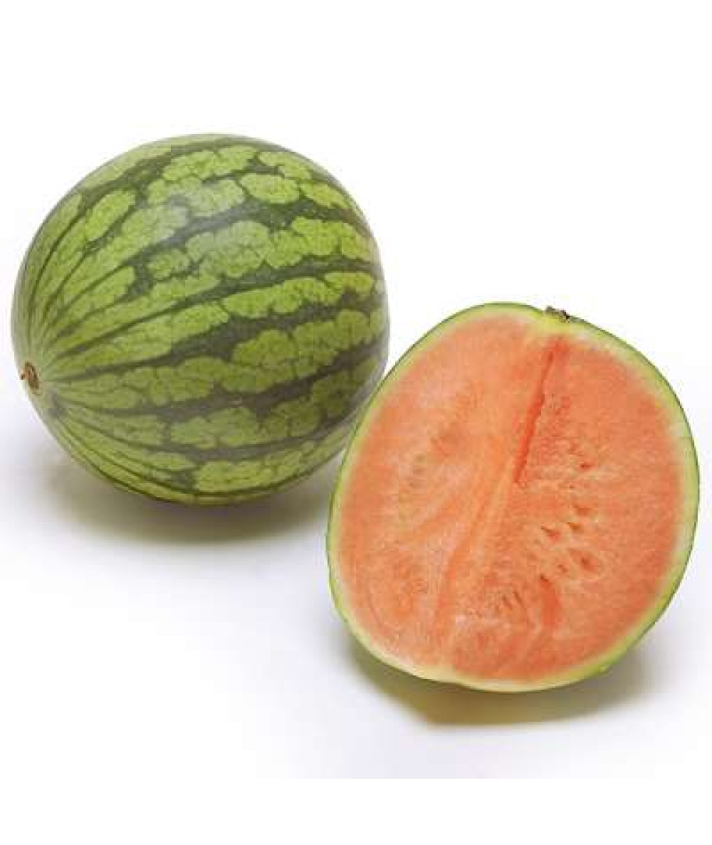 MINI WATERMELON JAPAN (LOCAL) /KG