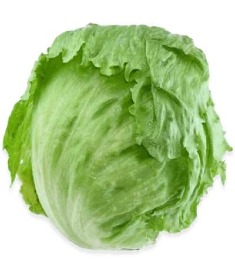 THE FARMER FRESH ICEBERG LETTUCE 400G+/-