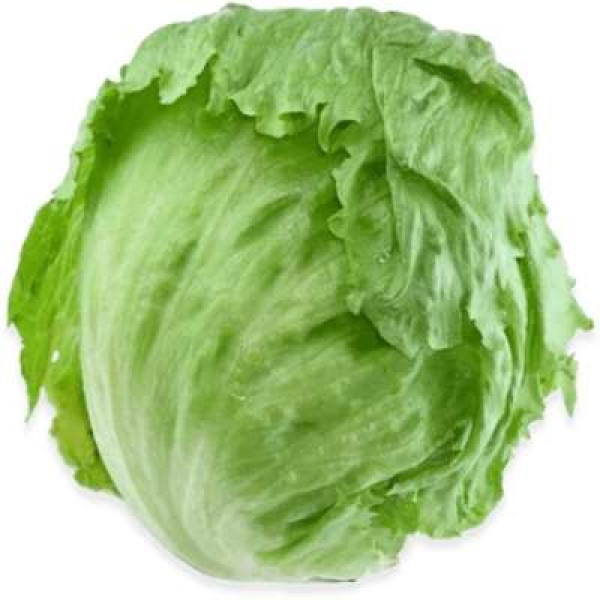 THE FARMER FRESH ICEBERG LETTUCE 400G+/-