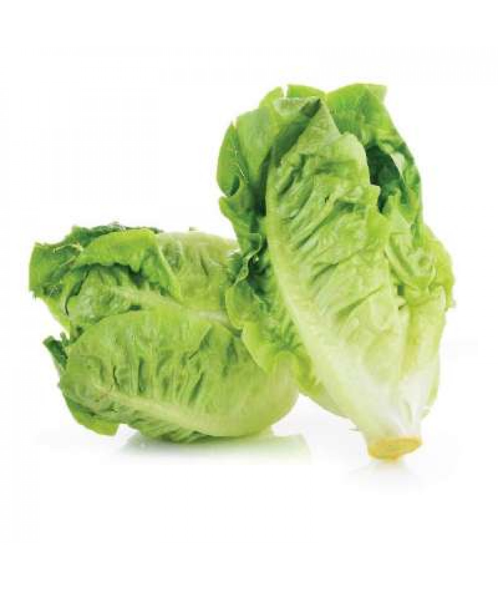 THE FARMER BABY ROMAINE 250G+/-