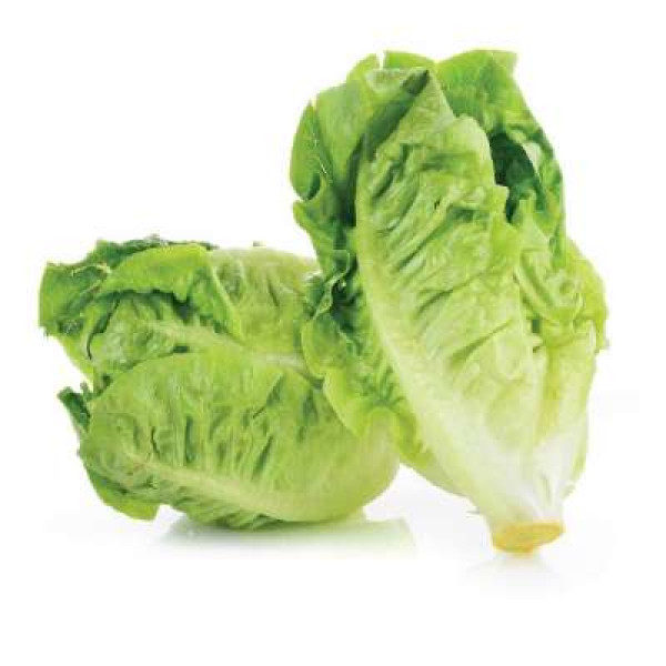 THE FARMER BABY ROMAINE 250G+/-