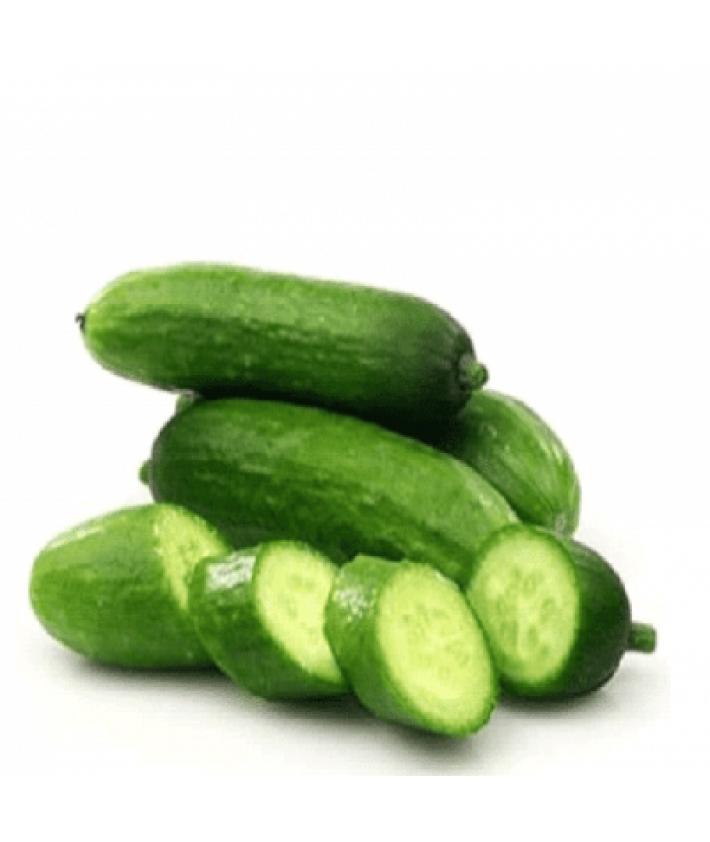 THE FARMER ROMILINO CUCUMBER 500G+/-