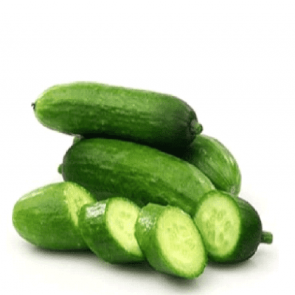 THE FARMER ROMILINO CUCUMBER 500G+/-