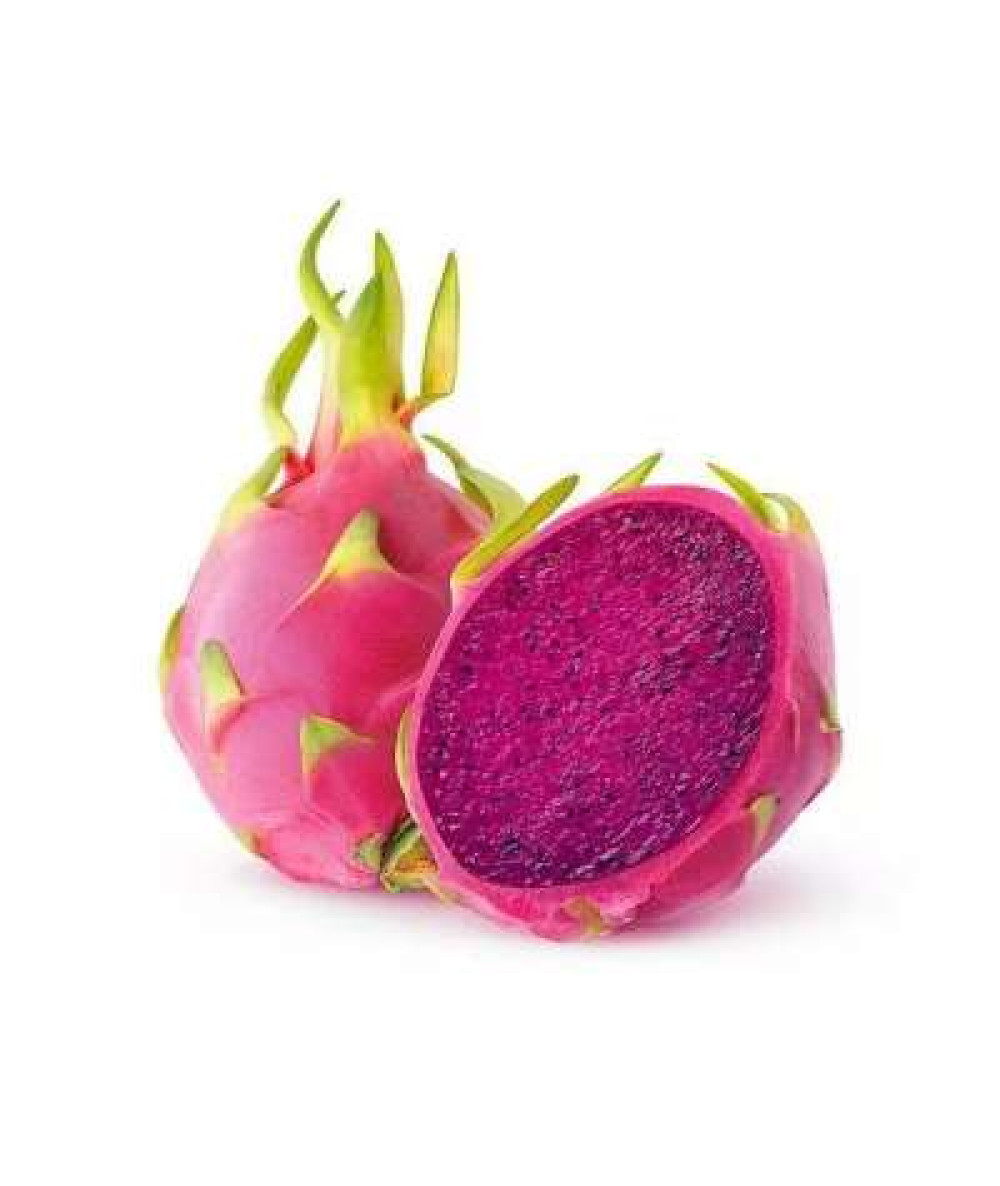 RED DRAGON FRUIT XL /KG