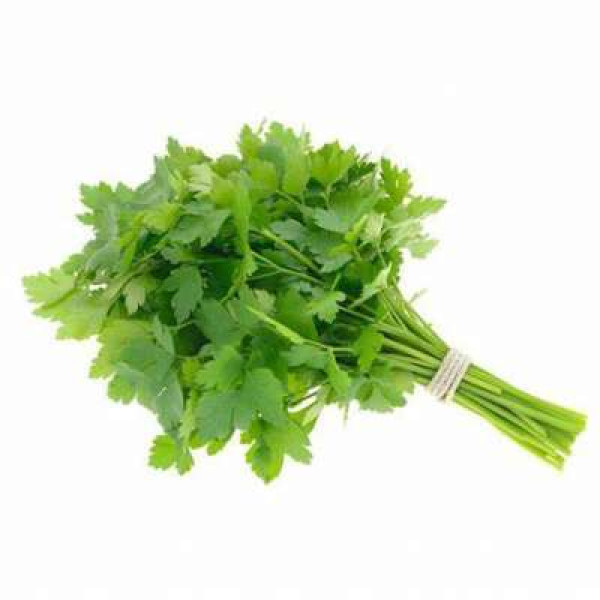 THE FARMER CELERY LEAF 100G+/-