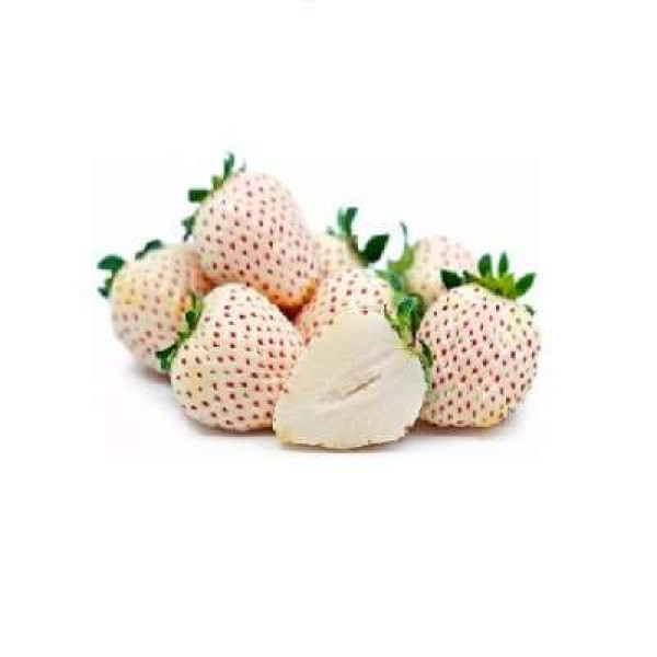 CAMERON SNOW WHITE STRAWBERRY 250G+/-